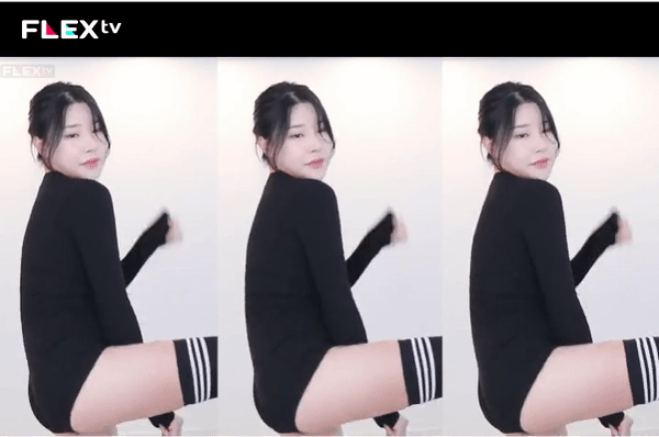 보라6666.gif